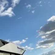 りん