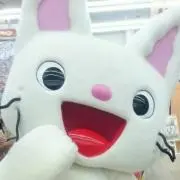 ゆー