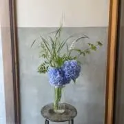 sunnieの画像