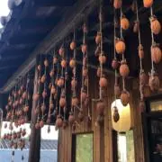 素の画像