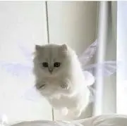 るの画像