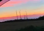 kin869の画像