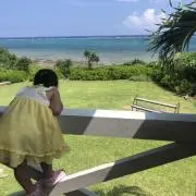 Aya.M