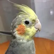 ♡パールピンク♡