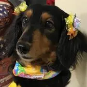 もーちゃん