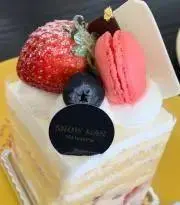 ぽんこの画像