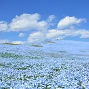 みみこの画像