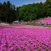RiRiの画像