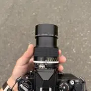 ギタの画像