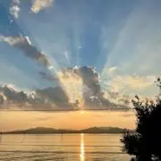 SankoCreate48の画像