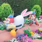 miyu ☺︎の画像