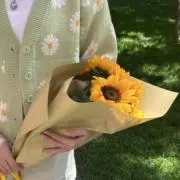 ヒマワリの画像