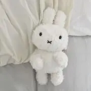 yuuの画像