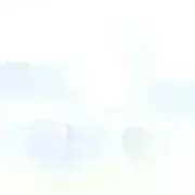 藻の画像