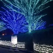 ディバインの画像