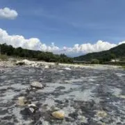 ☺︎ ここあ ☺︎の画像