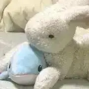 まいこ。の画像