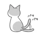 めがねっこの画像