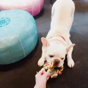 mipomnの画像