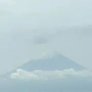 tomatoの画像