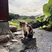 Big G.の画像