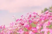 笑みの画像