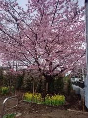 ¥の画像