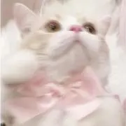 う〜たん。の画像