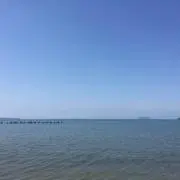 まーの画像