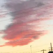 みやこの画像