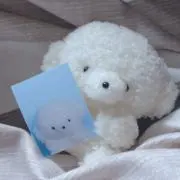 ま だ い　※6/9〜12は発送お休みの画像