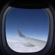 たくあんの画像