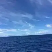 あっちゃん
