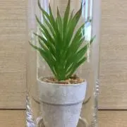 mihokoの画像