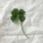 よつばの画像