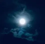 ♡縁♡即購入可♡