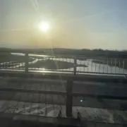 kon_taの画像