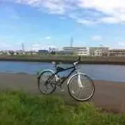 Youji