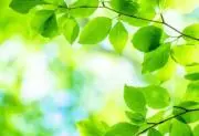 佐竹(プロフ必読)の画像
