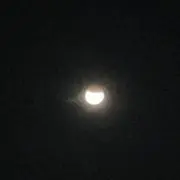 ハルニの画像
