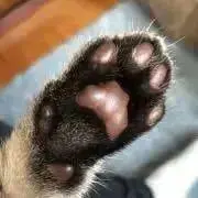 む〜りんの画像