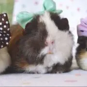 a♡