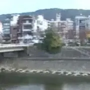 あーるの画像