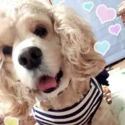 みーしゃんの画像