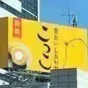 りちょんの画像