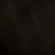 虎米