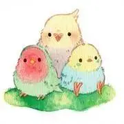 おとまるの画像