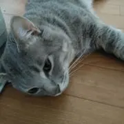 のん