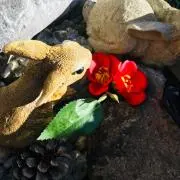 みゆきんの画像