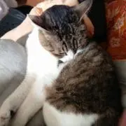井上